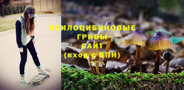 прущий лед Инта