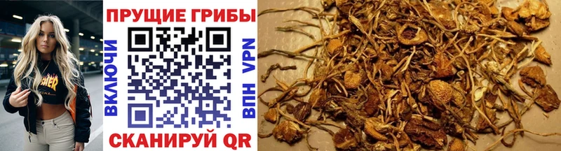 Купить где  Кремёнки  Галлюциногенные грибы MAGIC MUSHROOMS 